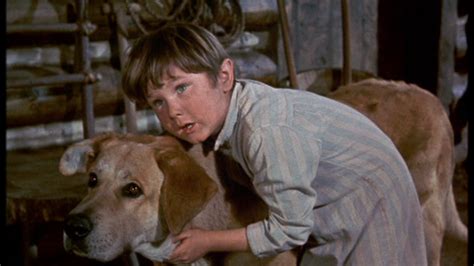 Kevin Corcoran as Arliss Coates in Old Yeller - Old Yeller Photo ...