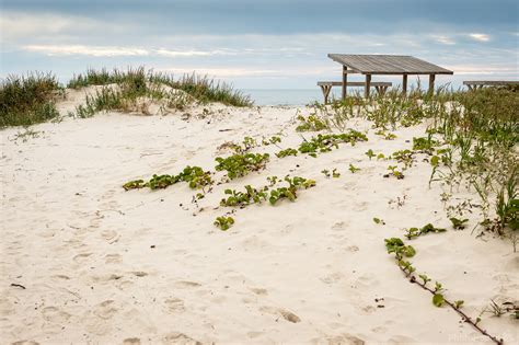 Image of Padre Island National Seashore | 1035126