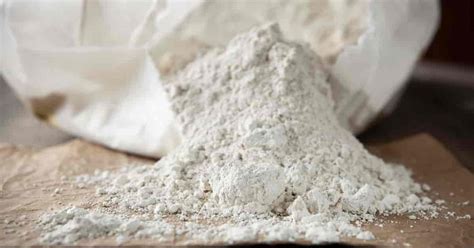 Diatomaceous Earth: Safe For Humans, Killer For Roaches