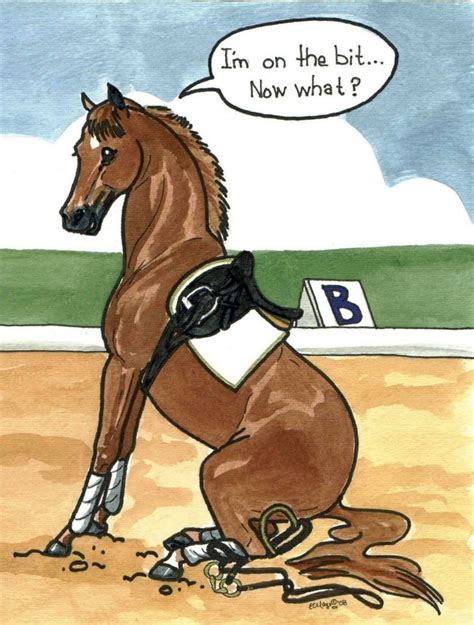 Pin on Equine Funnies