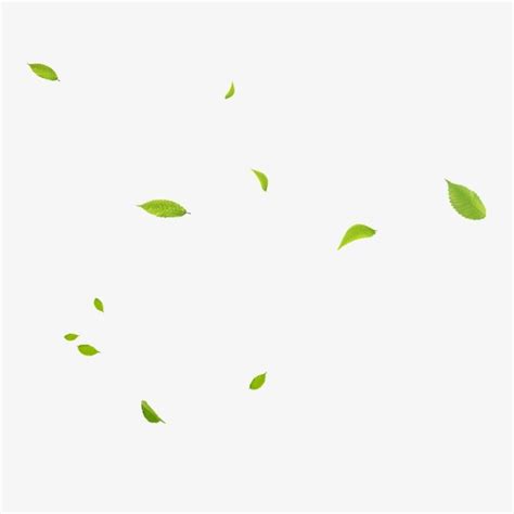 Floating Leaves, Float, Leaves, Green Leaves PNG Transparent Clipart Image and PSD File for Free ...