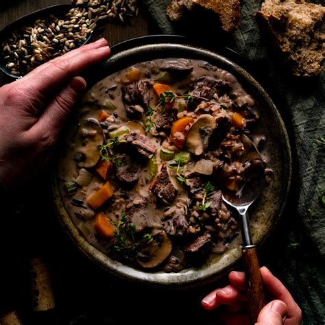 Ground Elk Stew Recipes | Dandk Organizer