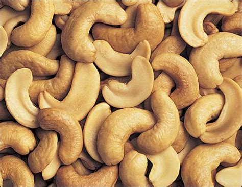 Cashew Nuts Manufacturer in Izmir Turkey by ABALIOĞLU YEM SOYA VE TEKSTIL A.Ş | ID - 3055990