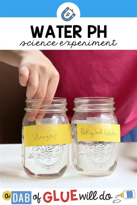 Water pH Science Experiment: Simple Science for Kids