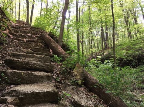 Looking for an incredible outdoor experience this fall? These 9 stunning hiking trails in ...