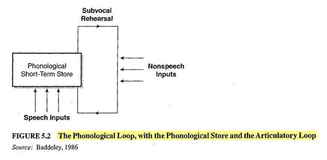 Baddeley's Model of Working Memory - Psynso