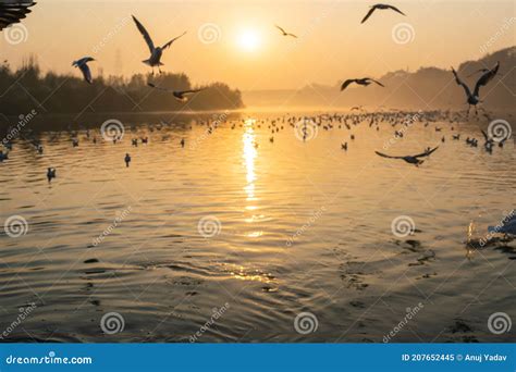 A Beautiful Morning at Yamuna Ghat in Delhi Stock Image - Image of ...