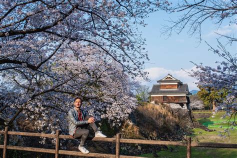 Sakura and Sago Palms: Chasing the Kyushu Cherry Blossoms in 2021