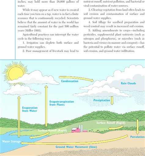 The water cycle. In this simplified diagram of the water cycle, water ...