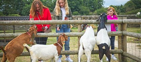 Cogges farm award granted by The National Lottery Heritage Emergency Fund | Cogges