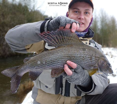 Winter fishing in Scotland for Trout, Grayling and Pike