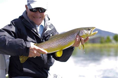 Fishing In Great Falls, MT | Montana Fishing Guides