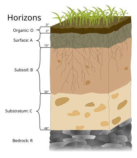 bedrock - Wiktionary, the free dictionary