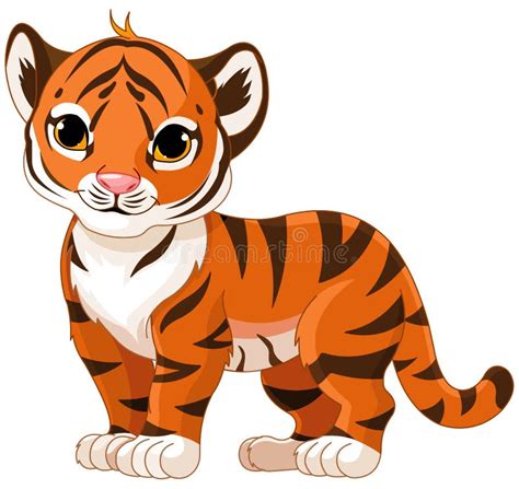 Playful tiger cub stock vector. Illustration of safari - 27131104