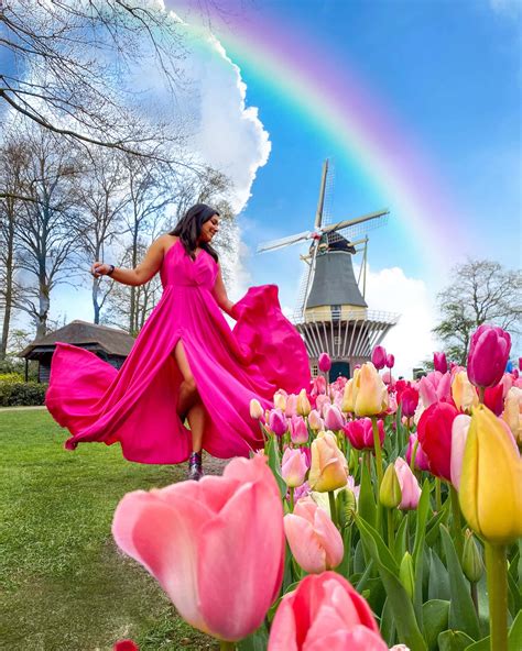 Tulips in Amsterdam - Everything You Need To Know - The Style Traveller