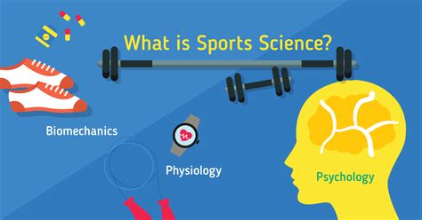 Degree In Sports Science Malaysia – CollegeLearners.com