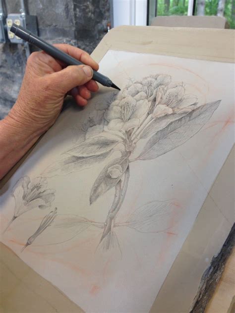 Learn the Art of Botanical Illustration with Lithography