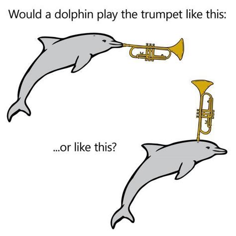 Insert trumpet - Meme by spongebob666 :) Memedroid