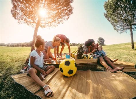 Picnic In Field Stock Photos, Pictures & Royalty-Free Images - iStock