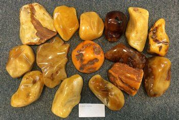 Polished Natural Baltic Amber Stones Fraction 200-300,Amber Raw Stone ...