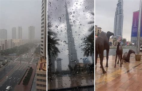 Dubai rain: Torrential downpour lashes city, UAE motorists warned ...