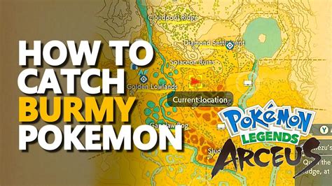 How to Catch Burmy Pokemon Legends Arceus Location - YouTube