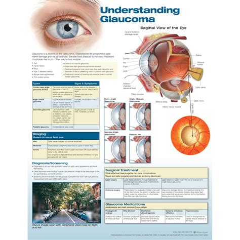 Understanding Glaucoma — Medshop Australia