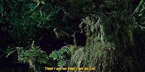 Treebeard Quotes In Elvish. QuotesGram