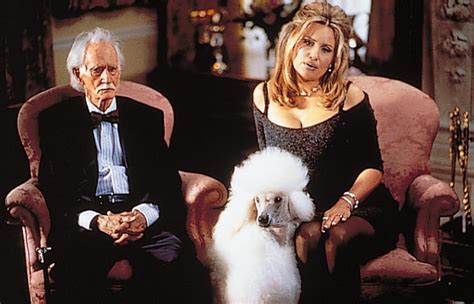 Our Favorite On-Screen Pets