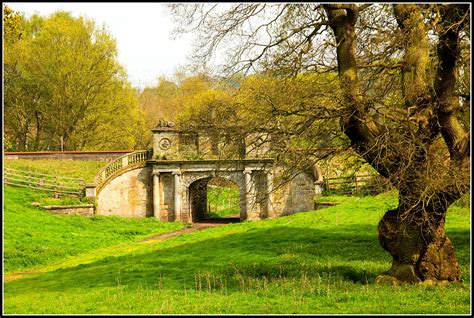 Wallpaper : bridge, trees, green, nature, grass, sunshine, shadows, staffordshire, shugborough ...