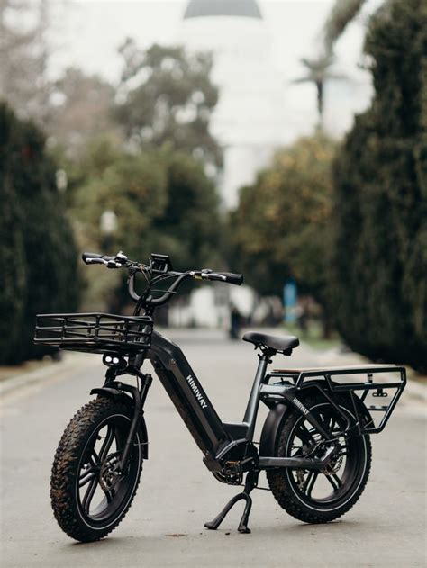 Electric Cargo Bike in 2022 | Electric cargo bike, Cargo bike, Electric ...