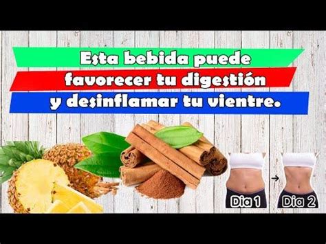 Esta bebida puede favorecer tu digestión y desinflamar tu vientre ...