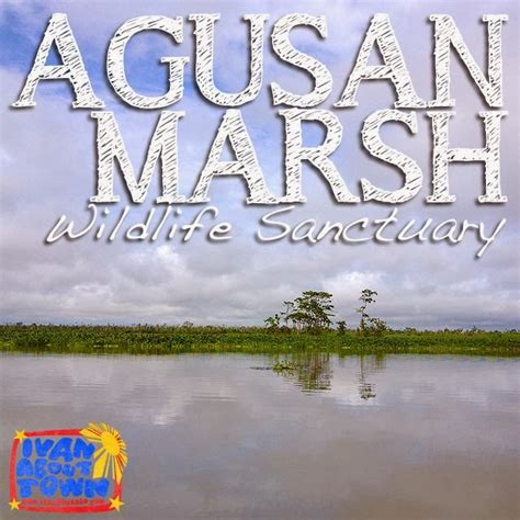 Agusan del Sur: Agusan Marsh Wildlife Sanctuary | Ivan About Town