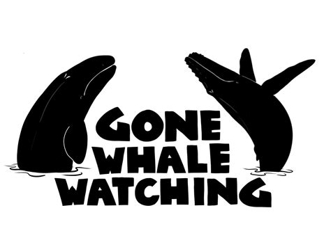 Gone Whale Watching San Diego