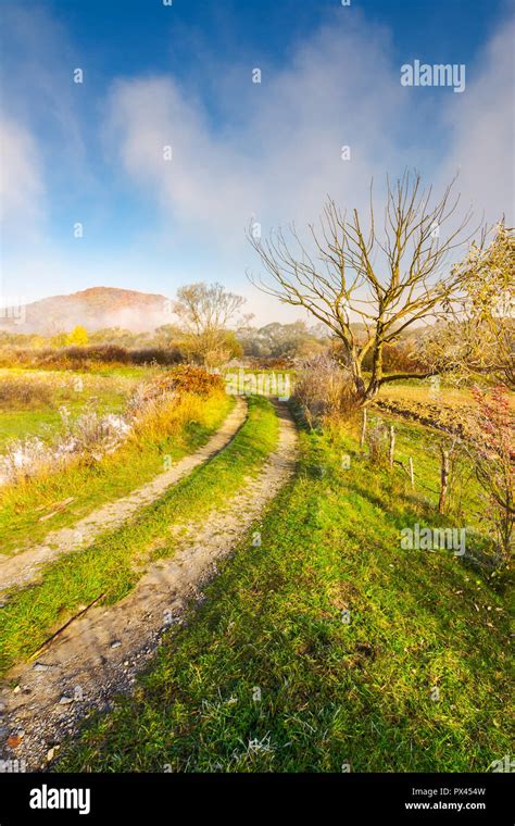 rural area in autumn. beautiful early morning scenery. country road ...