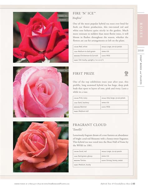 2018 Star® Roses and Plants Catalog by Star® Roses and Plants - Issuu