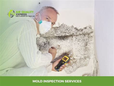 Exploring the Benefits of Mold Inspection Services for Your Home or Business - Air Quality Express