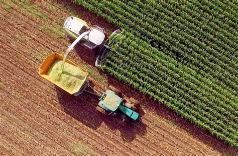 Brazilian agribusiness outlook: understand the sector in depth