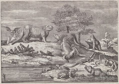 Illustration Of Prehistoric Animals Photograph by Bettmann - Fine Art ...