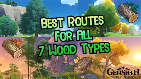 Best Wood Farming Routes (All 7 Types) - Genshin Impact - Genshin ...