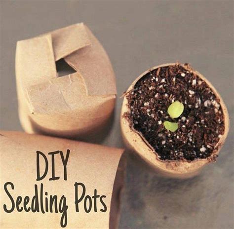 DIY Seedling Pots!