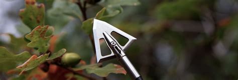 Best Broadheads for Whitetail Deer – Iron Will Outfitters