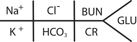 Fishbone Diagram Electrolytes - Wiring Diagram Pictures