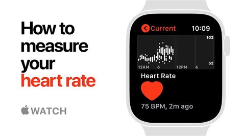 Understand and buy > how accurate is the heart rate on apple watch ...