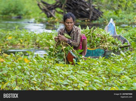 Tonle Sap , Cambodia Image & Photo (Free Trial) | Bigstock