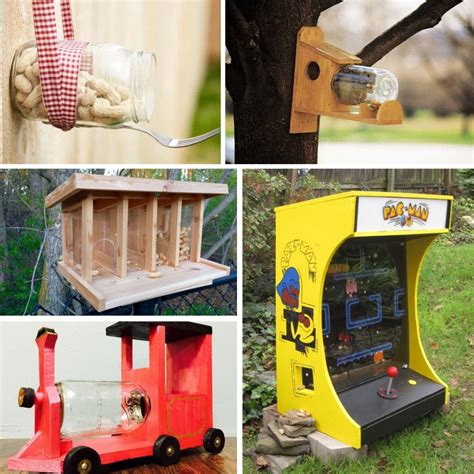 13 Simple DIY Squirrel Feeder Ideas You Will Enjoy Making