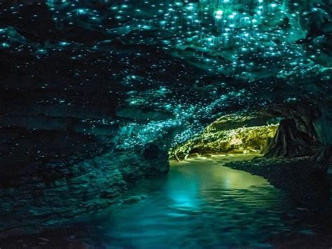 springbrook national park glow worms in natural bridge cave, gold coast ...