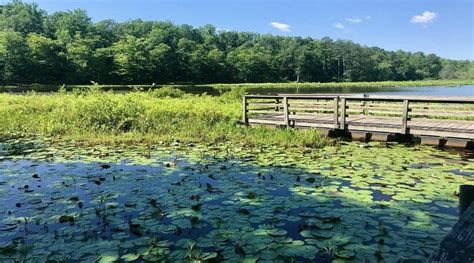 Beaver Lake Trail: An Easy Loop Hike Near Richmond