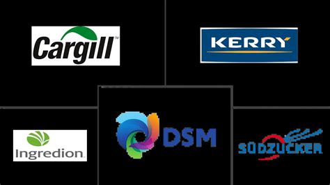 Europe Prebiotic Ingredient Market Size