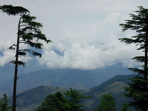 Patnitop hill station - India Travel Guide